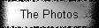 The Photos