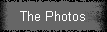 The Photos